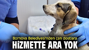 Bornova’da can dostlarına hizmette ara yok