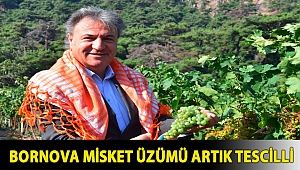 Bornova Misket Üzümü artık tescilli
