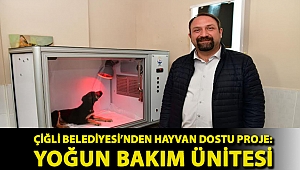 Çiğli Belediyesi’nden Hayvan Dostu Proje: Yoğun Bakım Ünitesi
