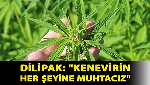 Dilipak:
