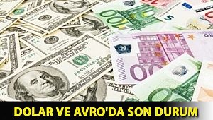 Dolar ve Avro'da son durum