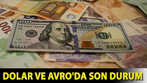 Dolar ve Avro'da son durum