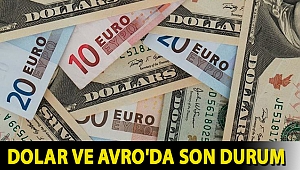 Dolar ve Avro'da son durum