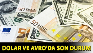 Dolar ve Avro'da son durum