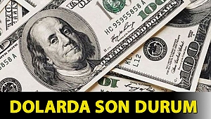 Dolarda son durum