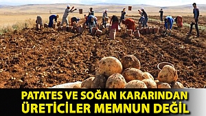 Erdoğan’ın patates ve soğan kararından üreticiler memnun değil