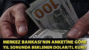 Merkez Bankası'nın anketine göre yıl sonunda beklenen dolar/TL kuru