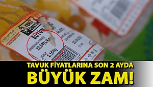 Tavuk fiyatlarına son 2 ayda büyük zam!