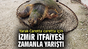 Yaralı Caretta caretta için İzmir İtfaiyesi zamanla yarıştı