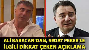 Ali Babacan’dan, Sedat Peker'le ilgili dikkat çeken açıklama