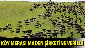 Balıkesir'de köy merası maden şirketine verildi
