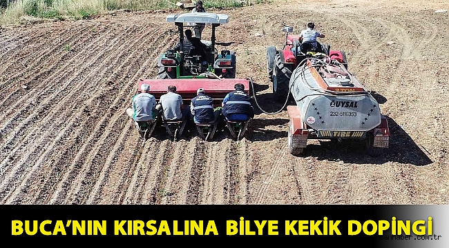 Buca’nın kırsalına bilye kekik dopingi