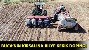 Buca’nın kırsalına bilye kekik dopingi