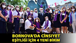 Cinsiyet eşitliği için 4 yeni birim