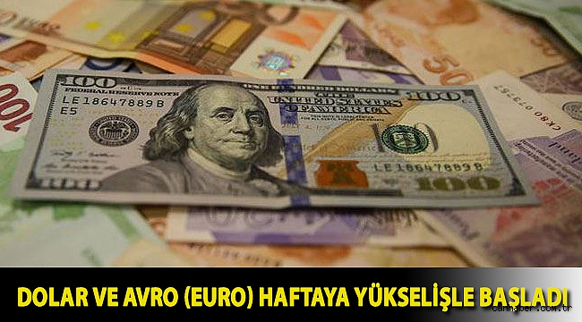 Dolar ve avro (euro) haftaya yükselişle başladı