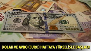 Dolar ve avro (euro) haftaya yükselişle başladı