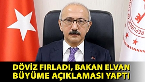 Döviz fırladı, Bakan Elvan,