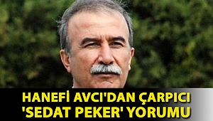 Hanefi Avcı'dan çarpıcı 'Sedat Peker' yorumu