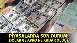 Piyasalarda son durum: Dolar ve Avro ne kadar oldu?