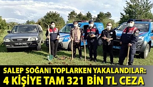 Salep soğanı toplarken yakalandılar: 4 kişiye tam 321 bin TL ceza