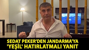 Sedat Peker'den Jandarma'ya 'Yeşil' hatırlatmalı yanıt: Buna inanmak safdillik olur