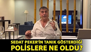 Sedat Peker'in tanık gösterdiği polislere ne oldu?