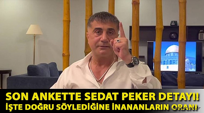 Son ankette Sedat Peker detayı! İşte doğru söylediğine inananların oranı