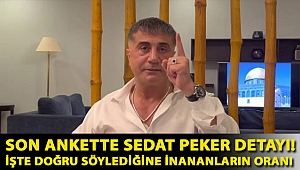 Son ankette Sedat Peker detayı! İşte doğru söylediğine inananların oranı