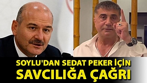 Soylu'dan Sedat Peker için savcılığa çağrı