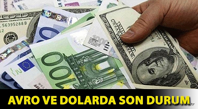 Avro ve dolarda son durum
