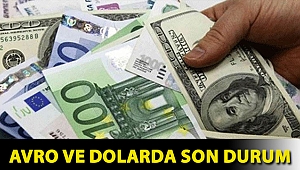 Avro ve dolarda son durum