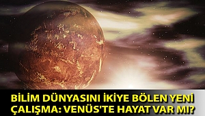 Bilim dünyasını ikiye bölen yeni çalışma: Venüs'te hayat var mı?