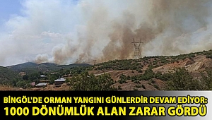 Bingöl'de orman yangını günlerdir devam ediyor: 1000 dönümlük alan zarar gördü