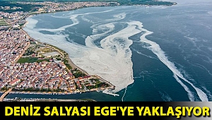 Deniz salyası Ege'ye yaklaşıyor