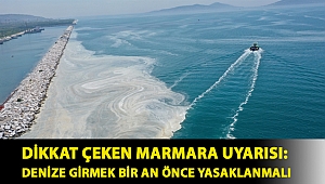 Dikkat çeken Marmara uyarısı: Denize girmek bir an önce yasaklanmalı