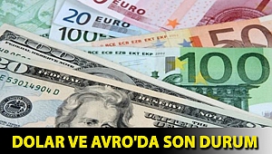 Dolar ve Avro'da son durum