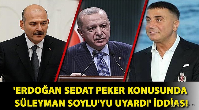 'Erdoğan Sedat Peker konusunda Süleyman Soylu'yu uyardı' iddiası