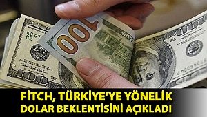 Fitch, Türkiye'ye yönelik dolar beklentisini açıkladı