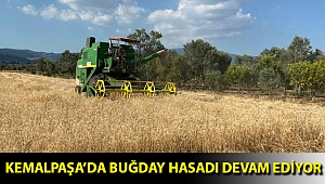 Kemalpaşa’da buğday hasadı devam ediyor