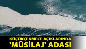 Küçükçekmece açıklarında 'müsilaj' adası