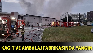 Küçükçekmece'de kağıt ve ambalaj fabrikasında yangın
