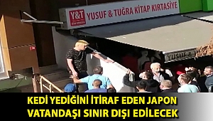 Küçükçekmece'de kedi yediğini itiraf eden Japon vatandaşı sınır dışı edilecek