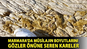 Marmara'da müsilajın boyutlarını gözler önüne seren kareler
