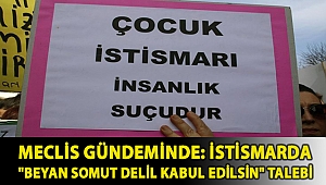 Meclis gündeminde: İstismarda