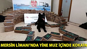 Mersin Limanı'nda yine muz içinde kokain