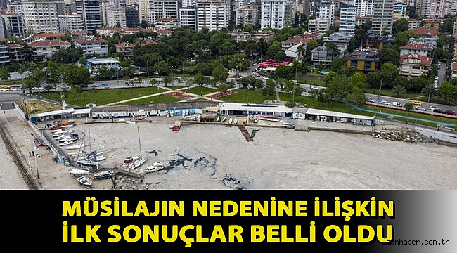 Müsilajın nedenine ilişkin ilk sonuçlar belli oldu