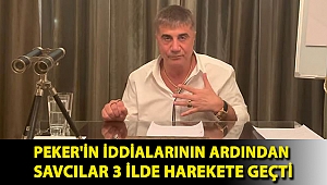 Pehlivan açıkladı: Peker'in iddialarının ardından savcılar 3 ilde harekete geçti