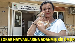 Sokak hayvanlarına adanmış bir ömür