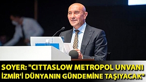 Soyer: