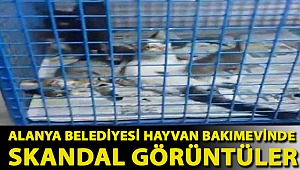 Alanya Belediyesi Hayvan Bakımevinde Skandal Görüntüler